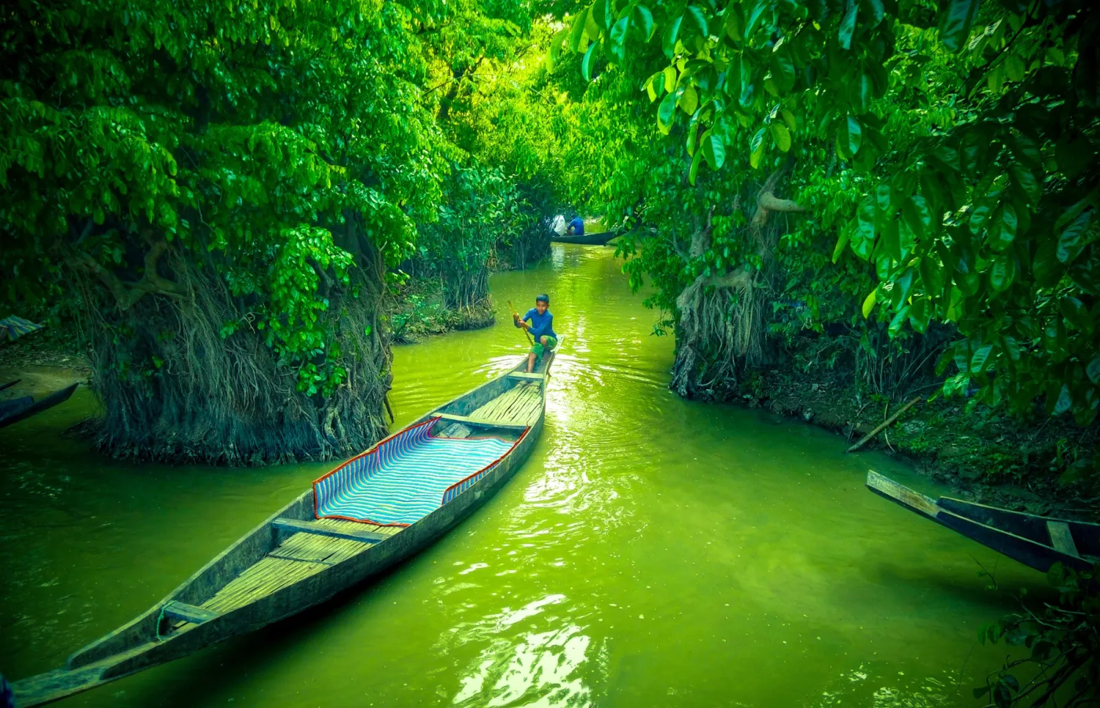 Sylhet Tea Gardens and Ratargul
