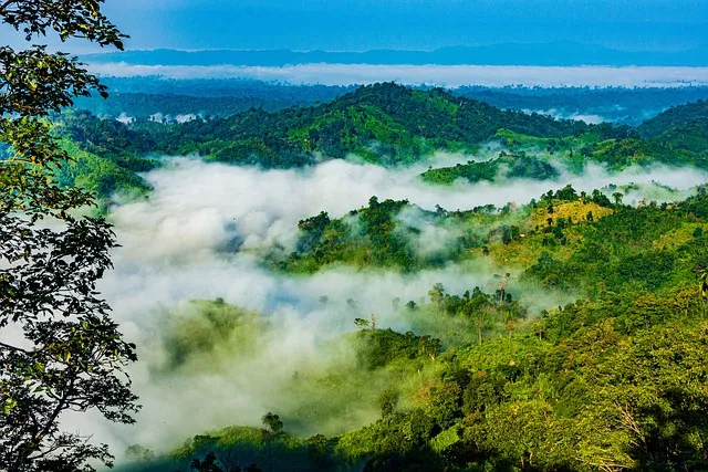 Sajek Valley Clouds Tour